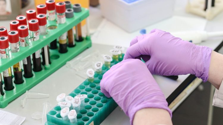 laboratory-3827743_1280 - The Deeping