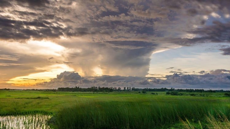 nature-1571717_1280 (1) - The Deeping