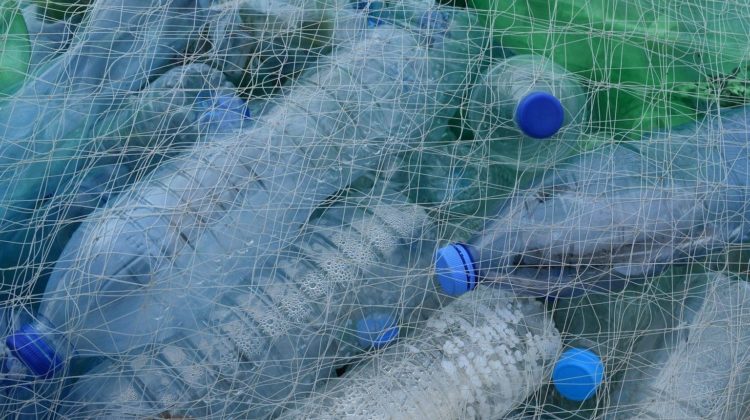 plastic-bottles-388679_1920 - The Deeping
