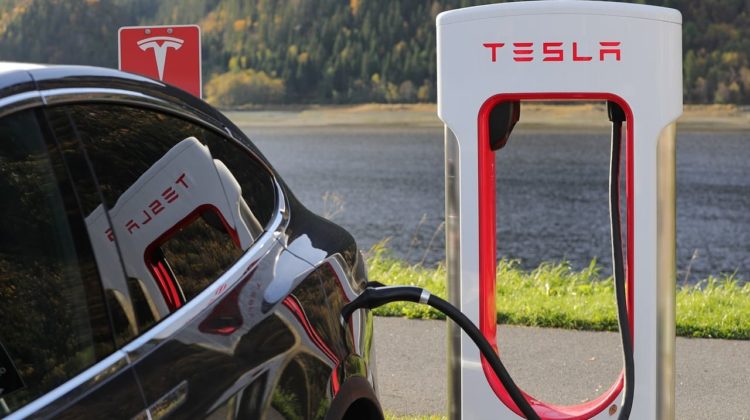 tesla-1738969 - The Deeping