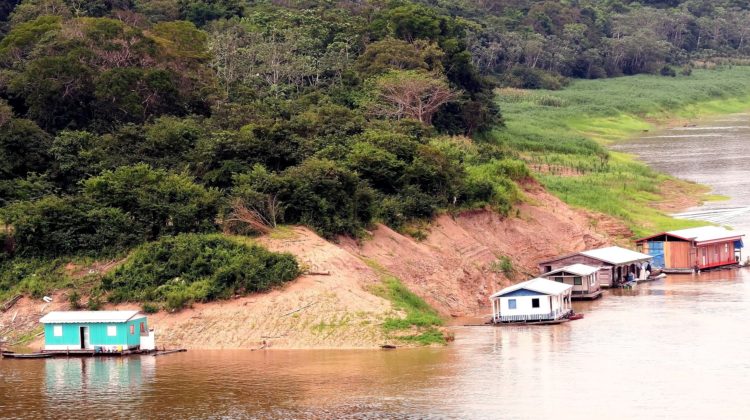 Amazonas - The Deeping Amazonas