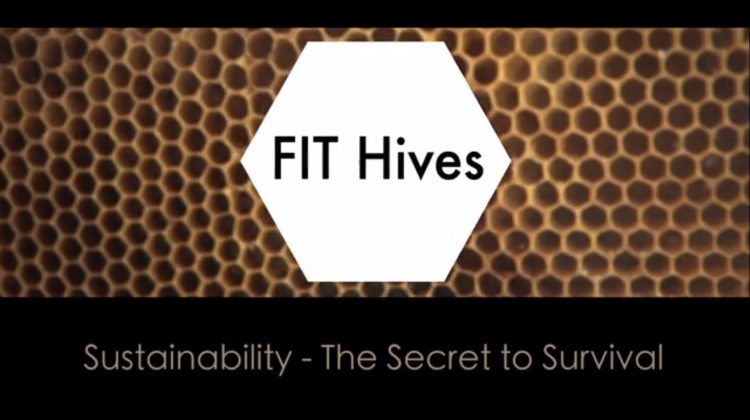 Immagine Vimeo Fit HIves - The Deeping