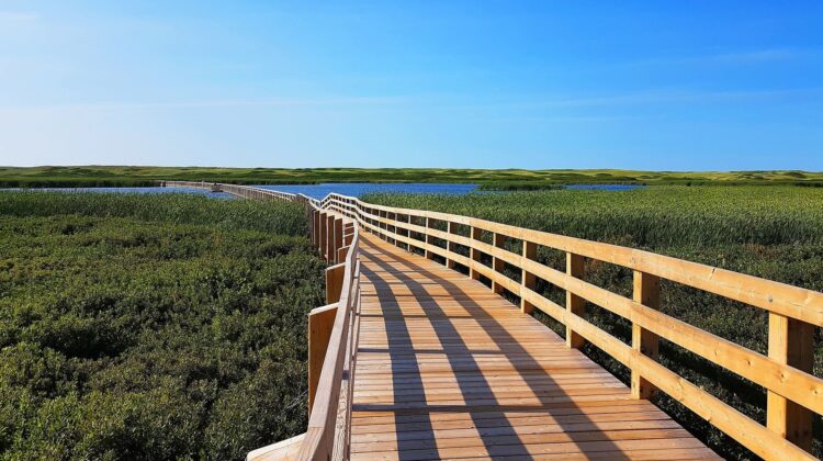 Prince Edward Island - The Deeping