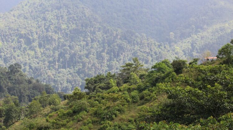 Sierra Nevada de Santa Marta - The Deeping