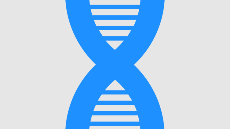 DNA - The Deeping