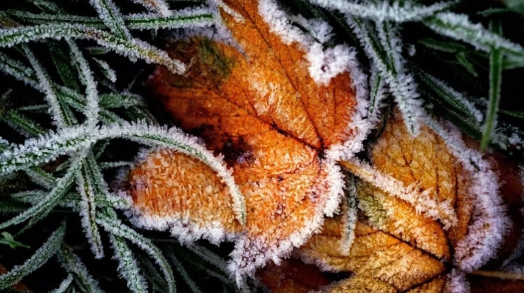 Frostbite - The Deeping
