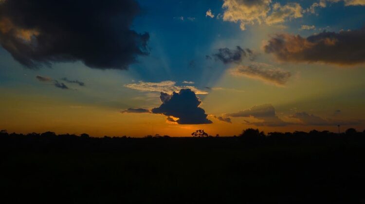 Iquitos - The Deeping