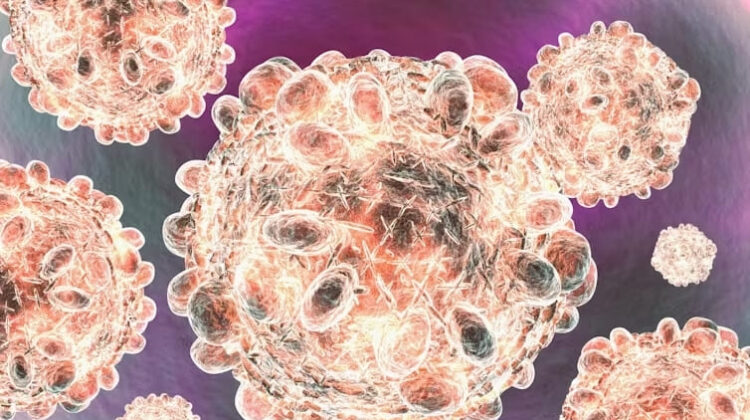 3D-illustration-of-Hepatitis-C-virus - The Deeping