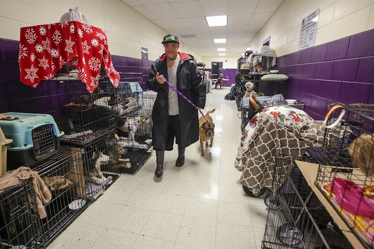 image - The Deeping A man walks a dog among stacks of pet crates lining the walls of a school hallway.