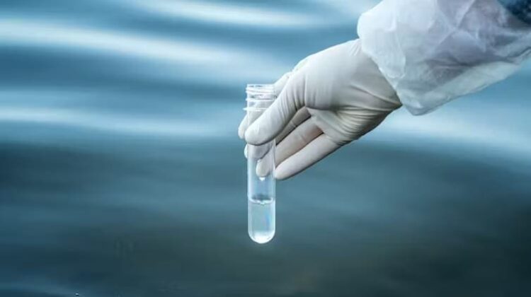 Contamination - The Deeping